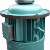 上海起重機電機銷售